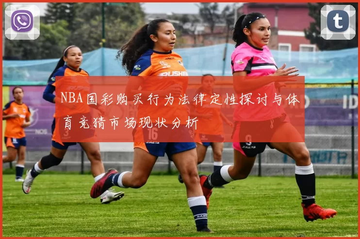NBA国彩购买行为法律定性探讨与体育竞猜市场现状分析