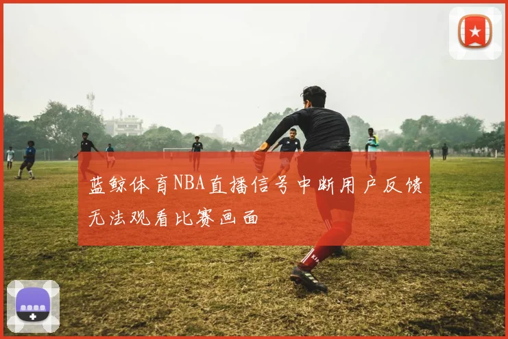 蓝鲸体育NBA直播信号中断用户反馈无法观看比赛画面